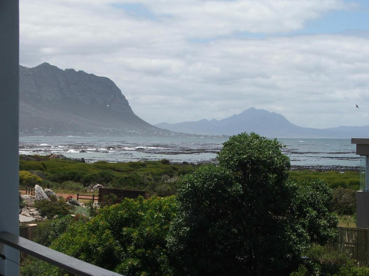 Bettyʼs Bay Whalers Retreat 아파트 외부 사진